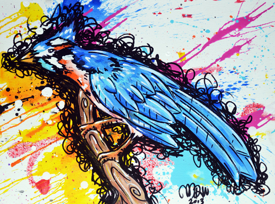 1bluejay_by_danger_pig-d63xl6o