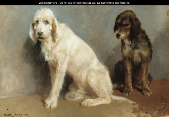 Study Of Two Dogs