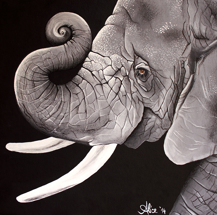 elephant