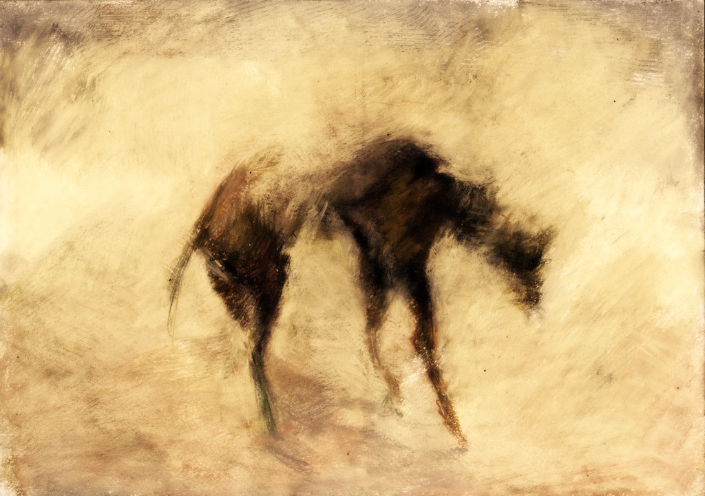 Hunger by John Grech