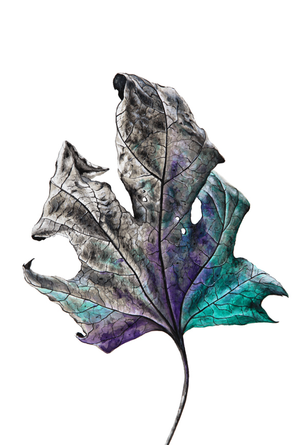 leaf