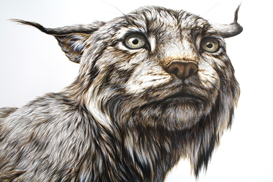 Lynx Detail. When was it that I knew you. 
