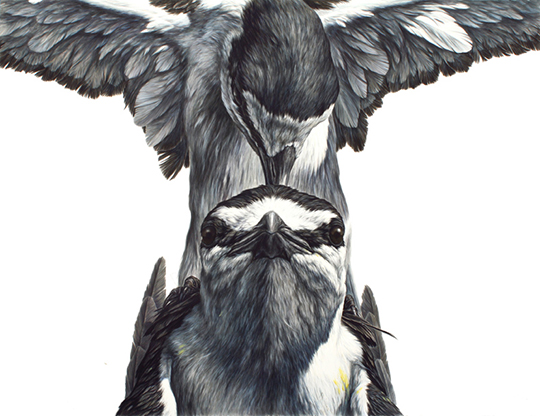 Manutara 38"X50" ink on paper 2012