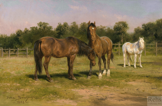 Horses Grazing