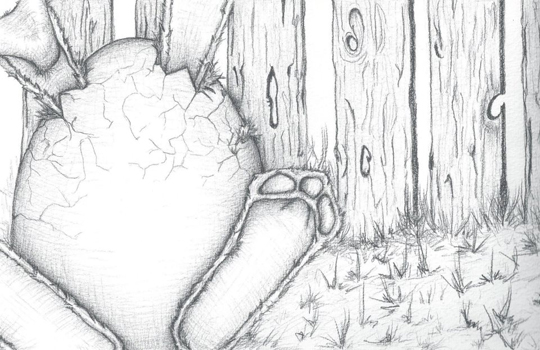 tara2